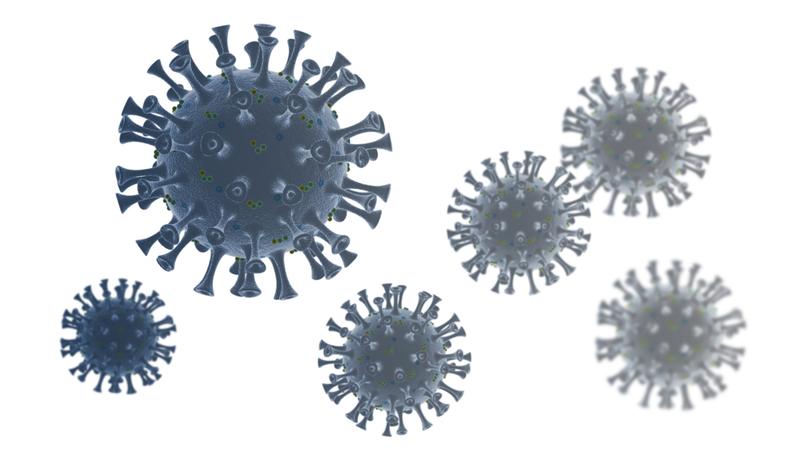 Coronavirus SARS-CoV-2: Die European Group on Immunology of Sepsis versteht die COVID-19-Erkrankung als neuartige schwere Lungeninfektion mit einem ausgeprägten vaskulären Entzündungsanteil.
