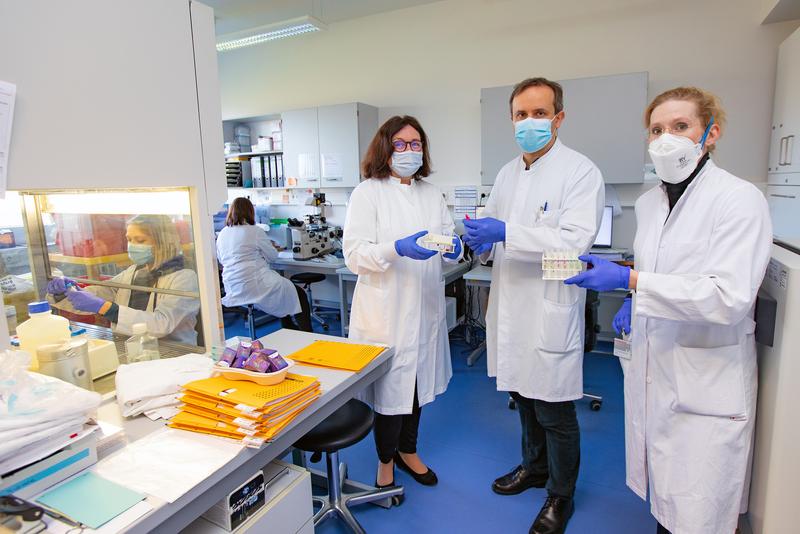 Professor Dr. Britta Eiz-Vesper, Professor Dr. Thomas Skripuletz and PD Dr. Franziska Hopfner with blood samples in the laboratory for T cell routine control of the Institute of Transfusion Medicine and Transplant Engineering. 