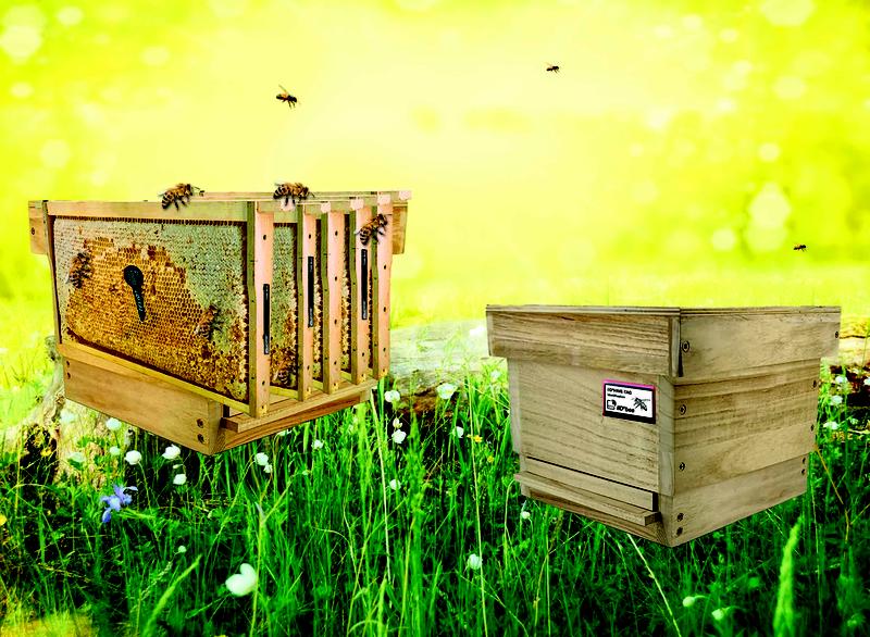 Sensor monitoring in beehives for better analysis of environmental chemicals and other negative environmental impacts.