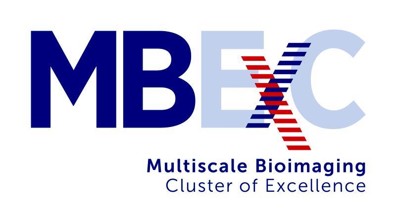 Logo Exzellenzcluster MBExC