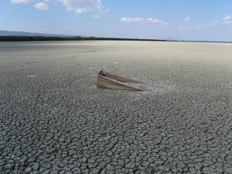 Der Volvi-See in Griechenland trocknet aufgrund übermäßiger Bewässerung für Landwirtschaft in Verbindung mit dem Klimawandel vorübergehend aus – eines von vielen Beispielen für ein Süßwassersystem unter menschlichem Druck. 