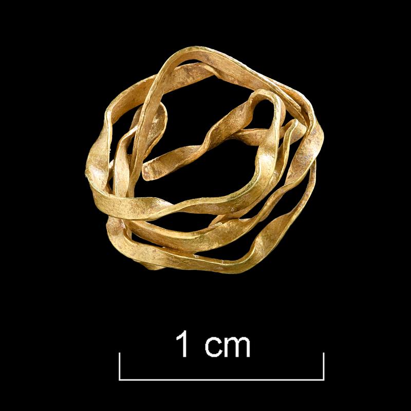 Das Spiralröllchen aus Golddraht fand sich als Beigabe in einem frühbronzezeitlichen Frauengrab in Ammerbuch-Reusten, Kreis Tübingen.