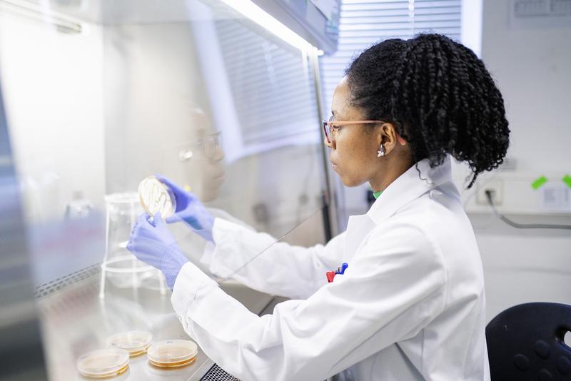 Wissenschaftlerinnen und Wissenschaftler im SFB/TR FungiNet untersuchen die krankmachenden Eigenschaften von Pilzen im Labor.