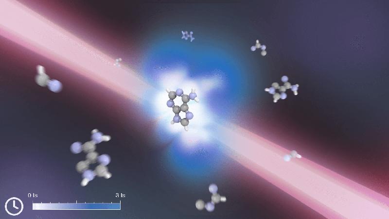 When the adenine molecule is ionised by VUV radiation it undergoes dissociation, however by taking advantage of a charge migration mechanism and by properly timing a second infrared laser pulse it is possible to stabilise it via a second ionisation event.