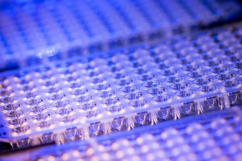 Some of the plates used for SARSeq