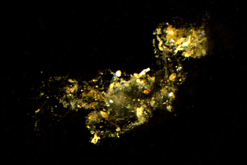 Small marine “snowflakes” are very important for the nutrient balance of the oceans. The particle shown here is highly magnified – in reality small particles are only about the size of a hair and thus barely visible.