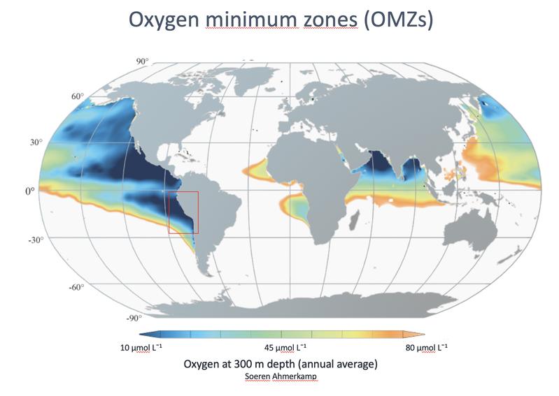 Map with an overview of the oxygen minimum zones. The largest are located offshore Middle and South America, but oxygen depleted areas can also be found in the Baltic Sea. The red box marks the oxygen minimum zone off Peru. 