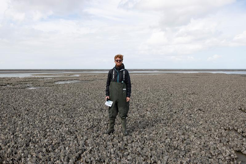 Der wissenschaftliche Mitarbeiter und Promotionsstudent Jan Hitzegrad bei Feldarbeiten auf dem Austernriff Kaiserbalje. 