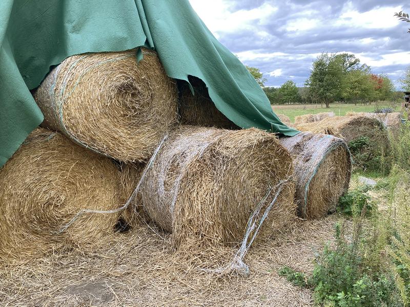 Strohballen werden oft mit Erntegarn gebunden, um sie in Form zu halten und zu fixieren.