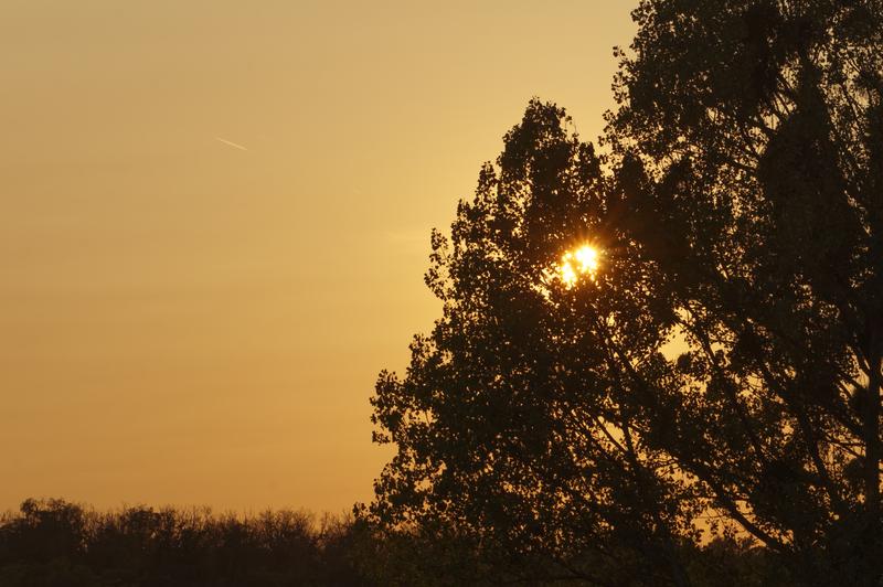 Der Sonnenuntergang am 12.09.20 war milchig-gelb ist - ein Zeichen für Staub in der Atmosphäre. 
