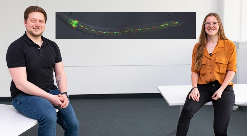 Co-author Ines Tapken and co-author Tobias Schüning with a microscopic image of the nematode Caenorhabditis elegans. 