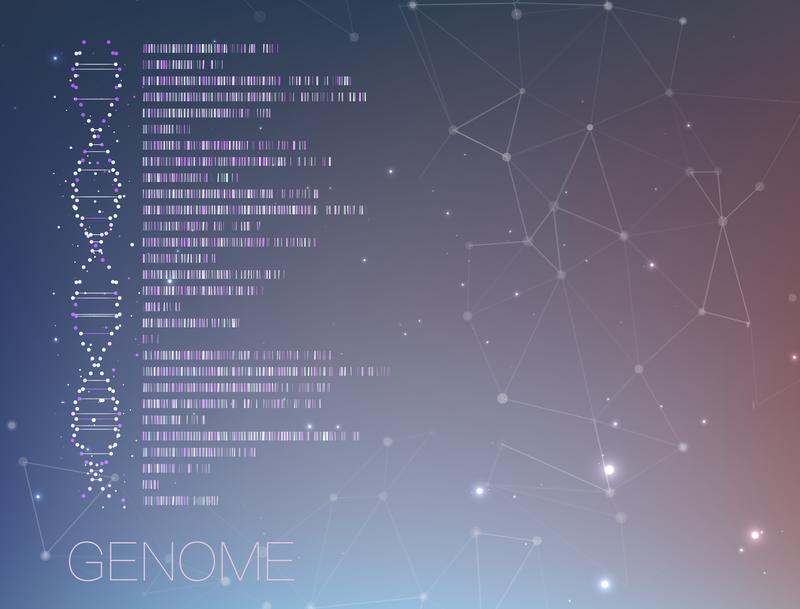 Daten-Re-Analyse bei Solve-RD: vom individuellen Genom des Patienten zur kombinierten Großanalyse