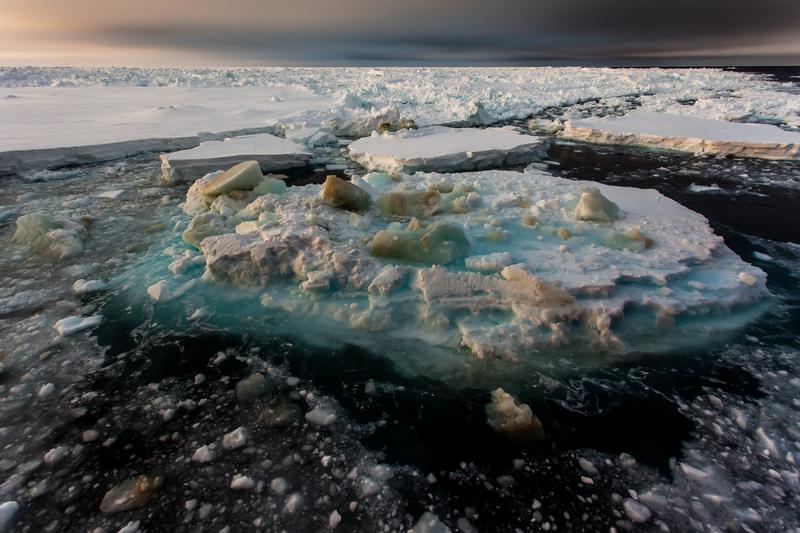 Antarctic sea ice