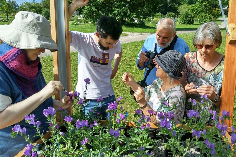 Der Arbeitskreis Pflanzenökologie des Forschenden Lernens am Hochbeet im Botanischen Garten