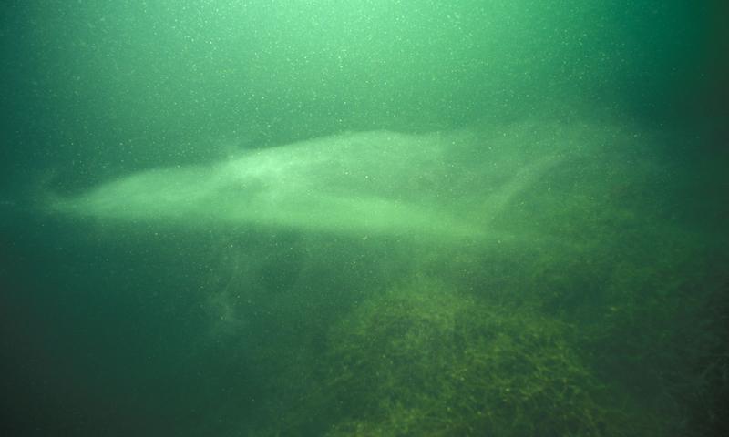 Ein See hat verschiedene Temperaturen: Hier trennt die "Sprungschicht" das wärmere Wasser der oberen Zonen von dem kälteren Tiefenwasser.