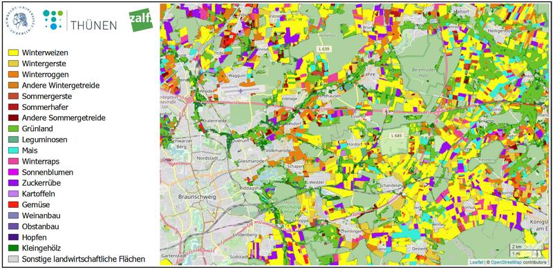 Kartenausschnitt mit einer Übersicht der landwirtschaftlichen Nutzung der Agrarflächen östlich von Braunschweig 2019