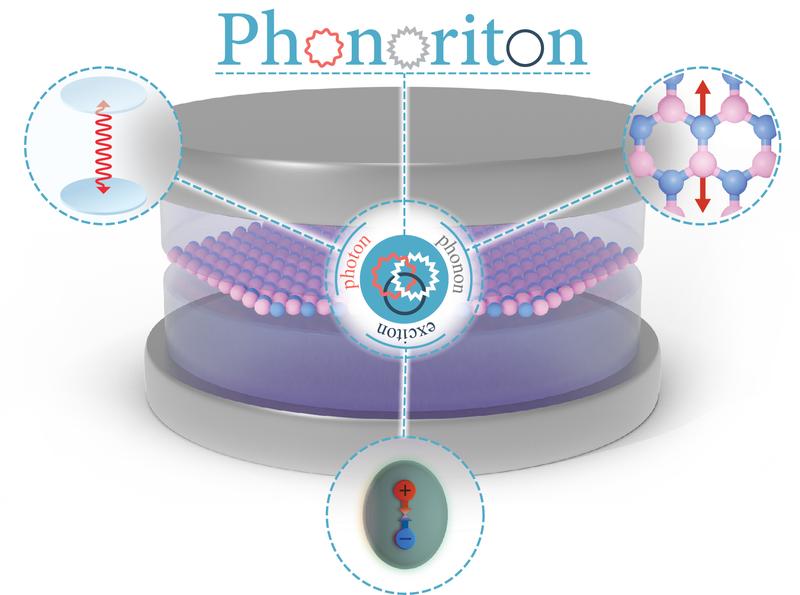 The phonoriton is a three-way hybrid particle made up of excitons, phonons and photons produced by the strong coupling between the material and the confined light inside a cavity. 