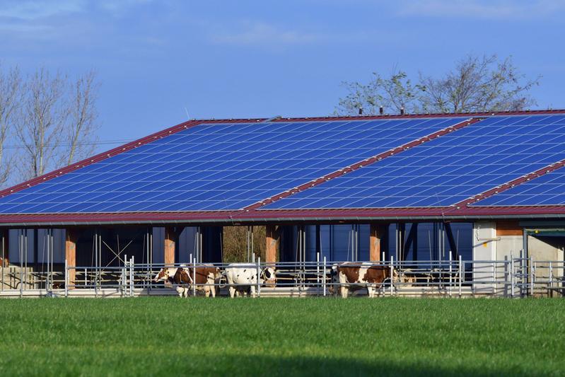 According to the Federal Statistical Office, in 2020 more than 50 percent of the electricity supplied to networks came from renewable energies for the first time. The photo shows a farm with solar panels on the roof.