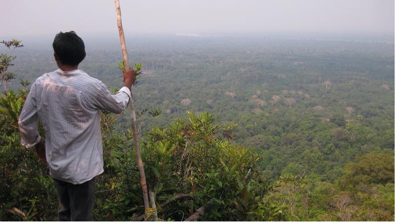 A Yucuna man overlooking Indigenous Lands in the Amazonian rainforest, where many languages are predicted to go extinct by the end of the 21st century. 