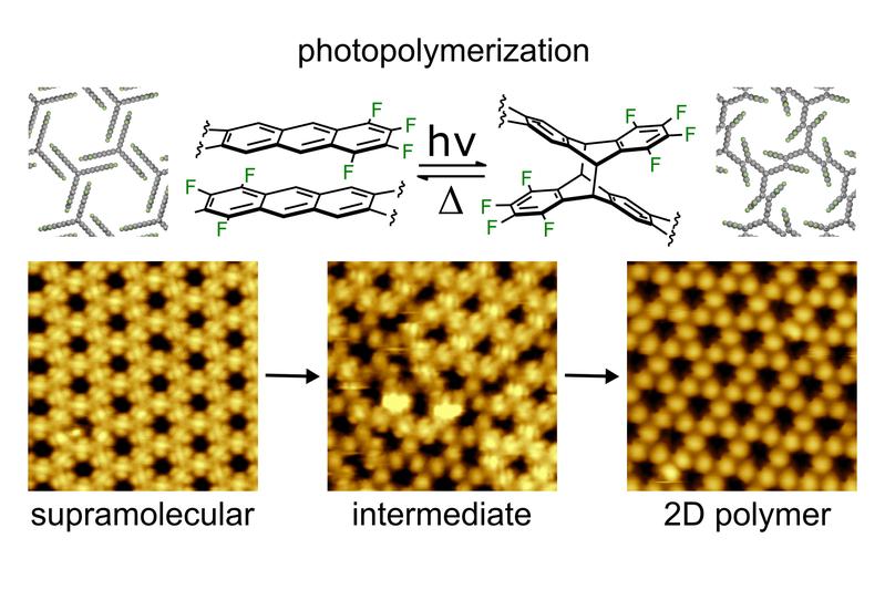 Reaktionsweg von der selbstorganisierten molekularen Struktur zum regelmäßig verknüpften 2D-Polymer.