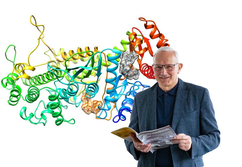 Professor Dr Dietmar Manstein with a schematic representation of the cardiac muscle proteins (coloured) and the rumic acid that binds to them (grey). 