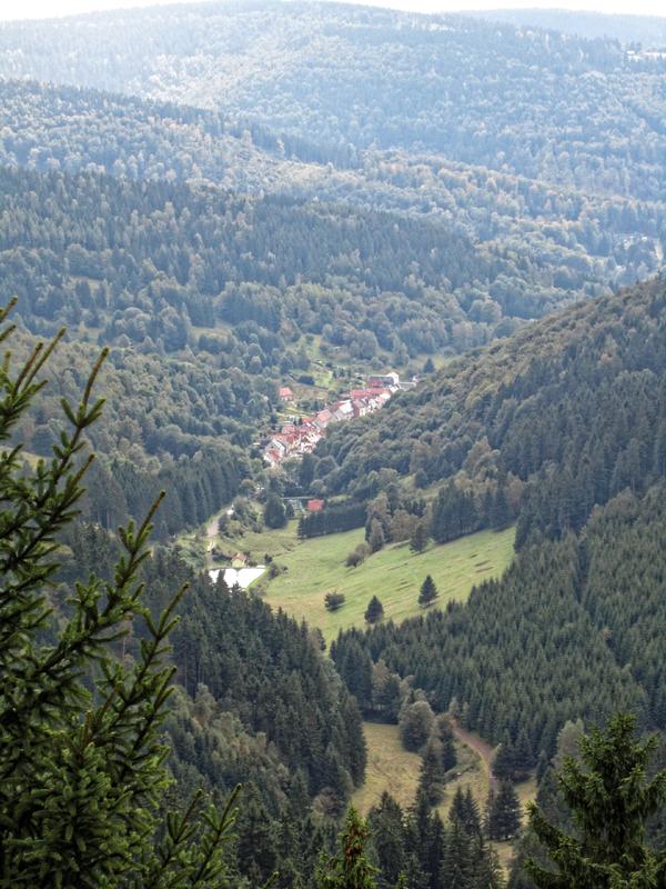 Die Kampagne „Hill Cap Cloud Thuringia 2010“ (HCCT-2010) war eine komplexe Wolkenmesskampagne im Thüringer Wald. Dazu fanden damals umfangreiche Messungen zwischen Goldlauter, Schmücke und Gehlberg bei Suhl statt. 