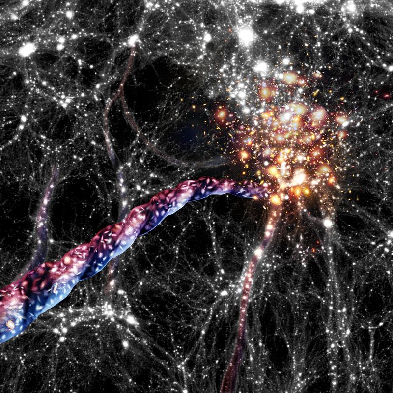 Artist’s impression of cosmic filaments: huge bridges of galaxies and dark matter connect clusters of galaxies to each other. Galaxies are funnelled on corkscrew like orbits towards and into large clusters that sit at their ends.