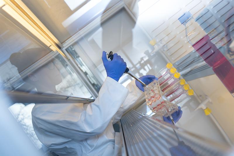 Systematic in-silico analyses as well as in-vitro experiments in human lung fibroblasts revealed a novel regulatory microRNA-506-QKI axis that contributes to IPF pathogenesis.