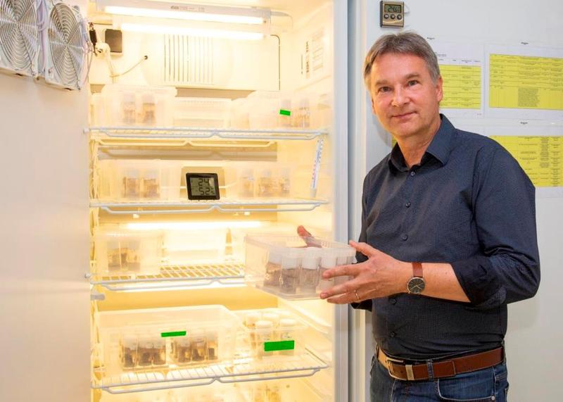 Professor Fritz-Olaf Lehmann leitet den Lehrstuhl für Tierphysiologie an der Universität Rostock. 