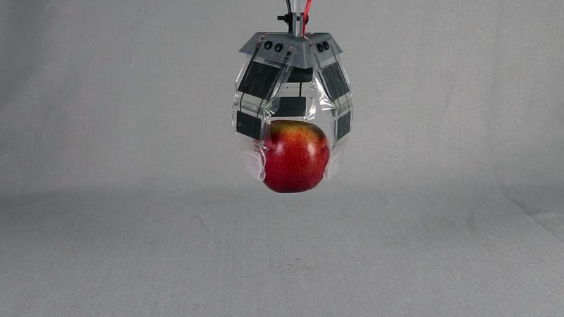 Robotic hand lifts an apple