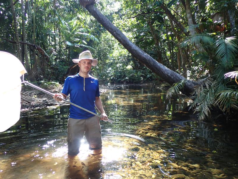 Peter Rühr von der Universität Bonn beim Insektenfang in Australien. 