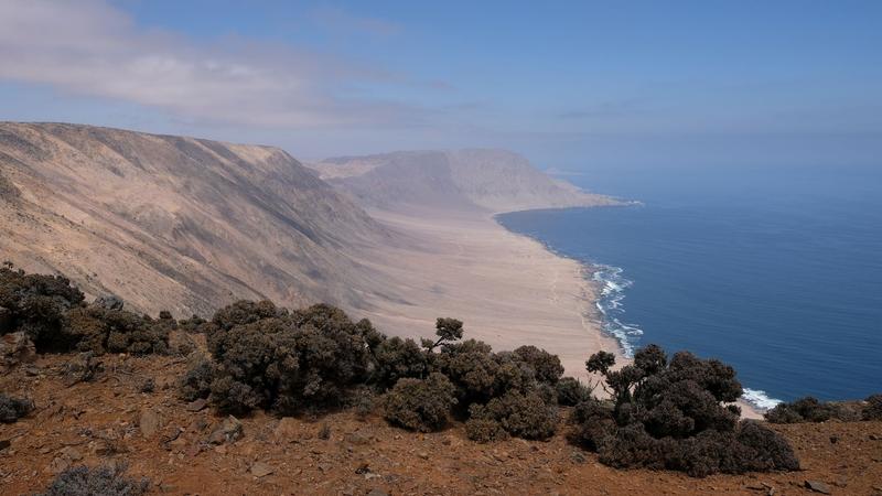 The Chilean coastal cordillera in the Parque Nacional Pan de Azúcar