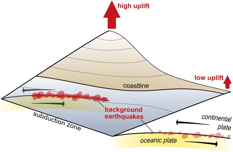 In the time between mega-earthquakes, smaller earthquakes continuously occur between oceanic and continental plates (background earthquakes). Where a lot of energy is released through these earthquakes, we observe coastal mountains that rise faster. In co