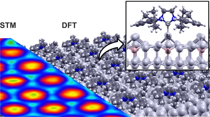 Vergleich der theoretisch berechneten Struktur (DFT, rechts) der geordneten NHC-Einzellage mit dem experimentellen Rastertunnelmikroskopie-Bild (STM, links). N: Stickstoff-, C: Kohlenstoff-, Si: Silizium-, B: Bor-Atom