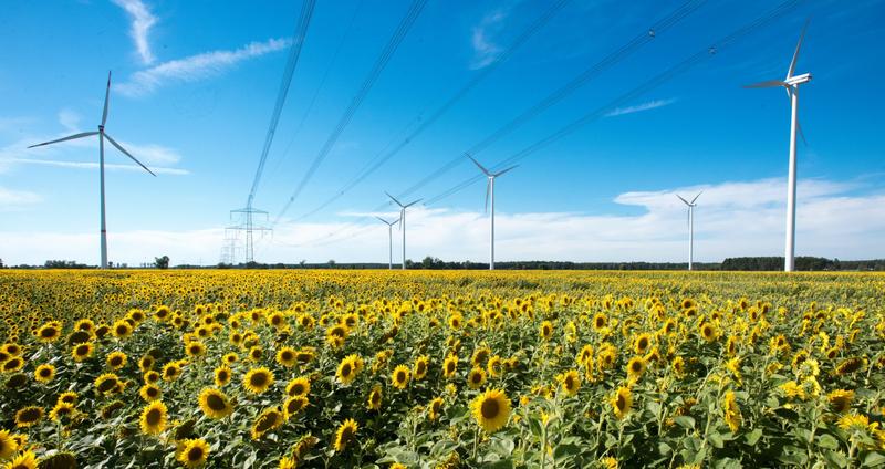 Windkraftanlagen und Stromleitungen in Verbindung mit Sonnenblumen symbolisieren die Energiewende. 
