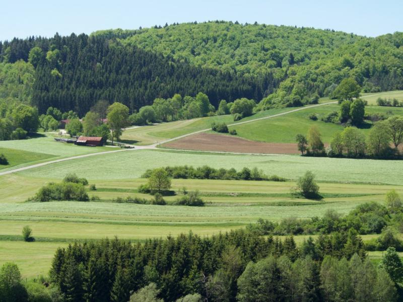 Wissenschaftler*innen haben herausgefunden, dass die biologische Vielfalt im Boden landwirtschaftlich genutzter Wiesen und Weiden am höchsten ist, wenn diese von viel Wald mit altem Baumbestand umgeben sind (im Bild: Schwäbische Alb).