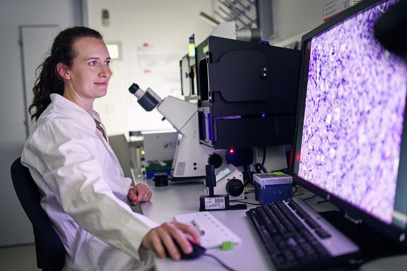 Die Erstautorin der Studie, Christine Dunker, untersucht am Mikroskop den Pilzbefall der Organe.