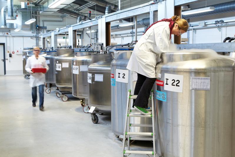 More than 500,000 environmental samples are stored in the huge nitrogen tanks of the German Environmental Specimen Bank. 