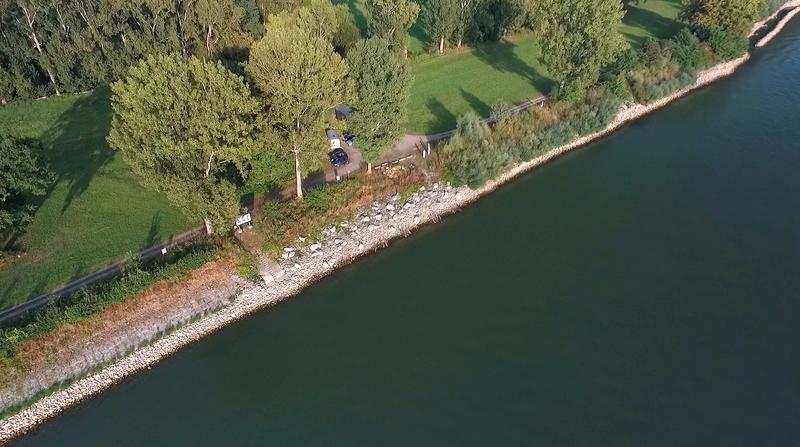 Versuchsstrecke für technisch-biologische Ufersicherungen am Rhein bei Worms
