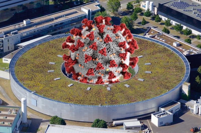 The coronavirus is studied at synchrotrons like BESSY II at HZB in Berlin or PETRA III at DESY in Hamburg. 