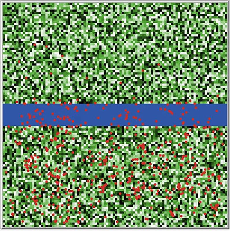 Das neu entwickelte Modell ermöglicht es erstmalig, auf einer kleinen Skala die Wasserüberquerung von Hominiden zu simulieren. Tausend Individuen (rote Punkte) schickten die Forscher*innen in ihrer Simulation auf die „Reise“. 