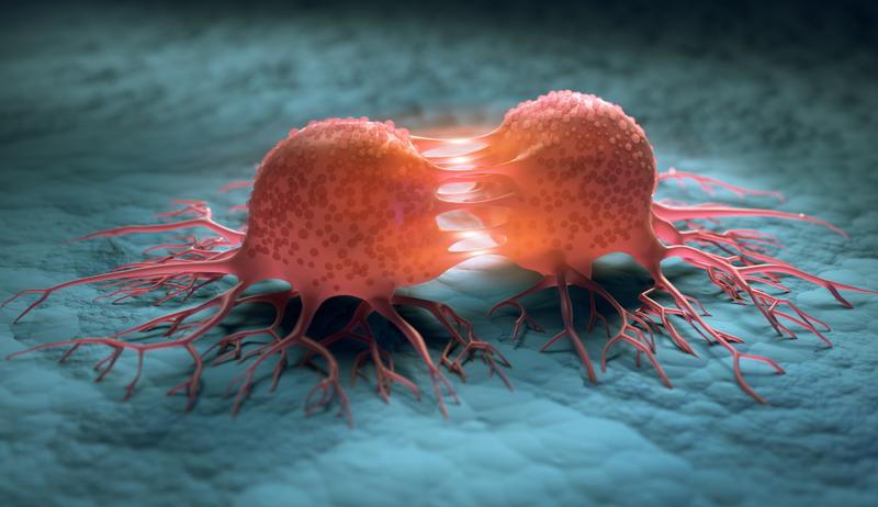 A graphical representation of a dividing cancer cell.
