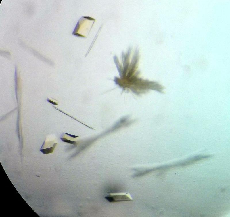 Image of the crystallized enzyme for ethane degradation - the ethyl coenzyme M reductase. Obtaining crystals is a necessary step for the X-ray crystallography technique.