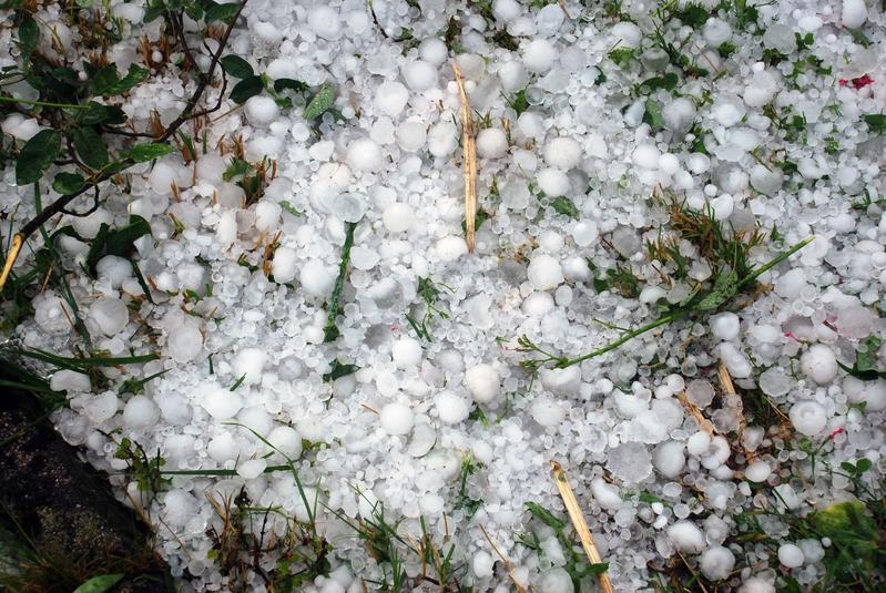 Nach außen zerstörerisch, von innen schön: Hagel in Tübingen am 23. Juni 2021. 