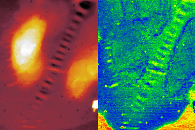 Bitumenoberfläche dargestellt mit verschiedenen mikroskopischen Techniken: AFM (Topographiebild) und AFM-IR (chemische Verteilung – IR Absorption bei 1262 cm-1).