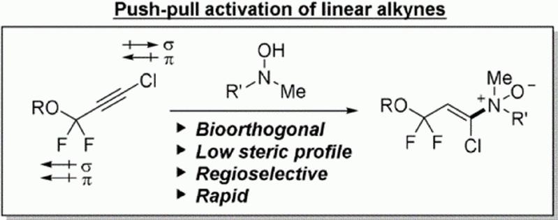 Angeknöpfte Biomoleküle