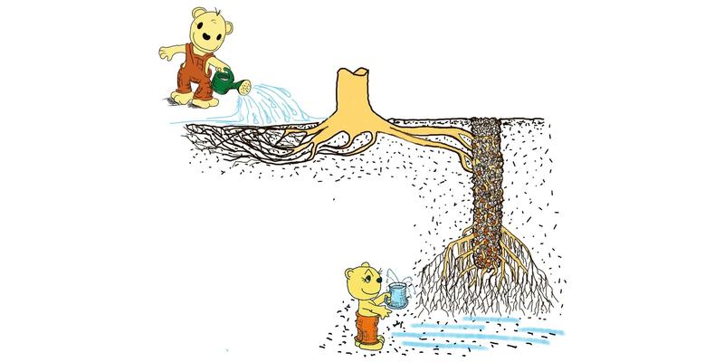Die Methode der Splittzylinder könnte auch Baumwurzeln in tiefere Bodenschichten locken. Der Baum könnte so auch mit größerer Trockenheit zurechtkommen. (Grafik: Claus Mattheck, KIT)
