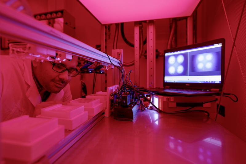 For the study, Mohammed Khallaf recorded the mating behaviors of 99 different species of flies of the genus Drosophila. 