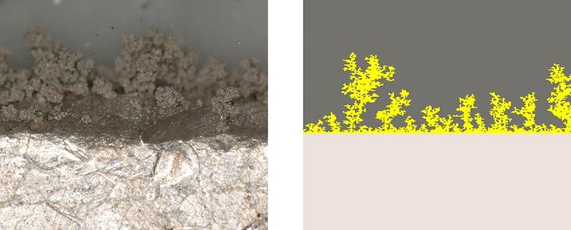 In-situ-Lithium-Dendritenwachstum während der elektrochemischen Lithiumabscheidung, visualisiert mit dem Lichtmikroskop (links, Quelle: fem|Forschungsinstitut Edelmetalle + Metallchemie). Simuliertes Dendritenwachstum des Fraunhofer IEE (rechts).