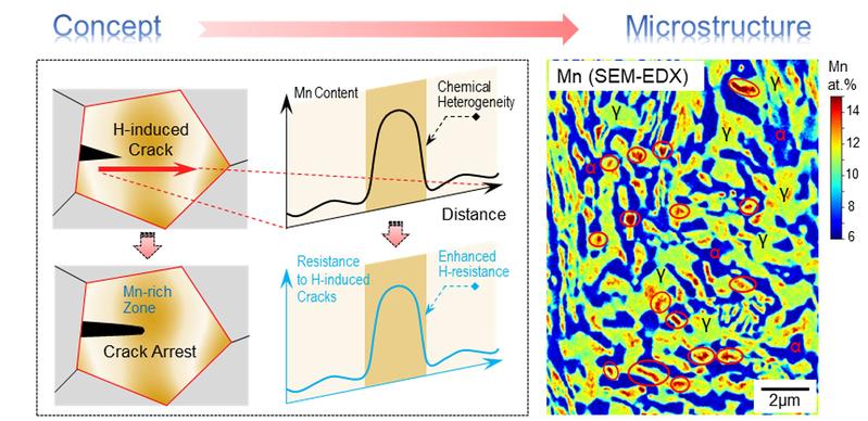 The exploration of chemical heterogeneity inside the microstructure leads to an enhanced resistance to hydrogen induced cracking, thus suppressing hydrogen induced premature failure .